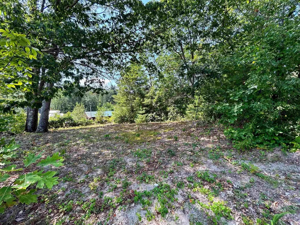 149 Bear Hill Road Henniker NH 03242