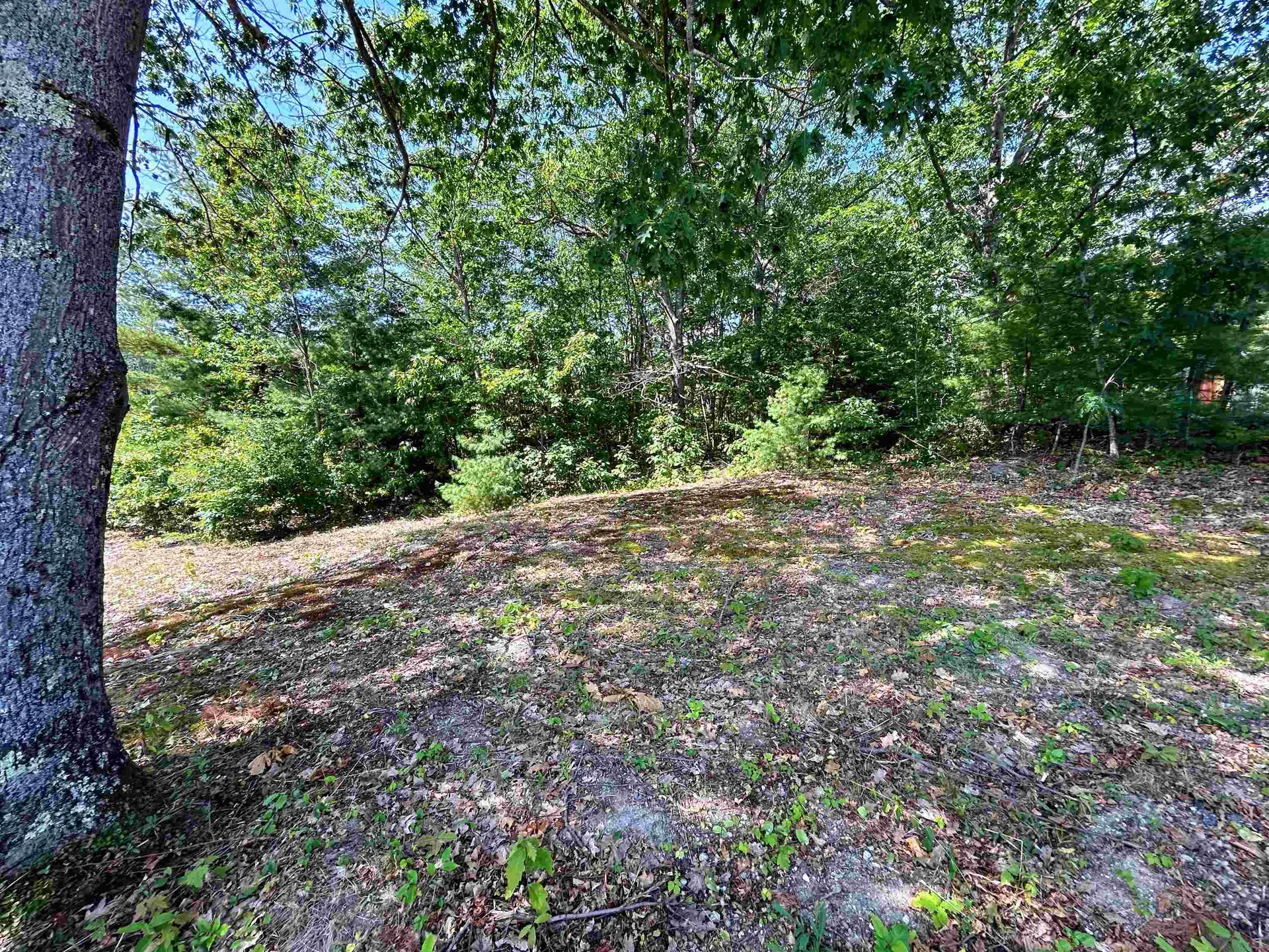 149 Bear Hill Road Henniker NH 03242