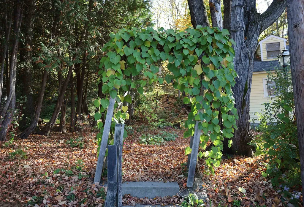 133 Barker Avenue St. Johnsbury VT 05819