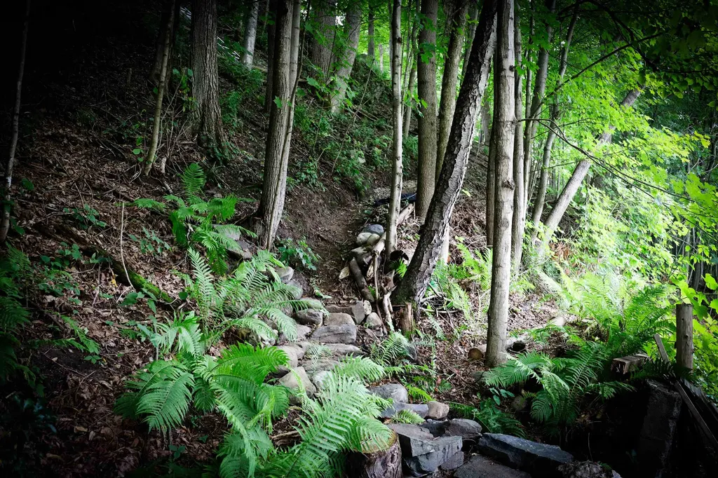 133 Barker Avenue St. Johnsbury VT 05819