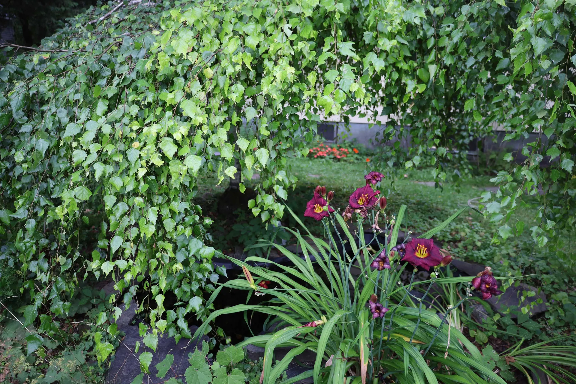 133 Barker Avenue St. Johnsbury VT 05819