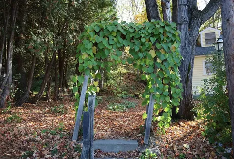 133 Barker Avenue St. Johnsbury VT 05819