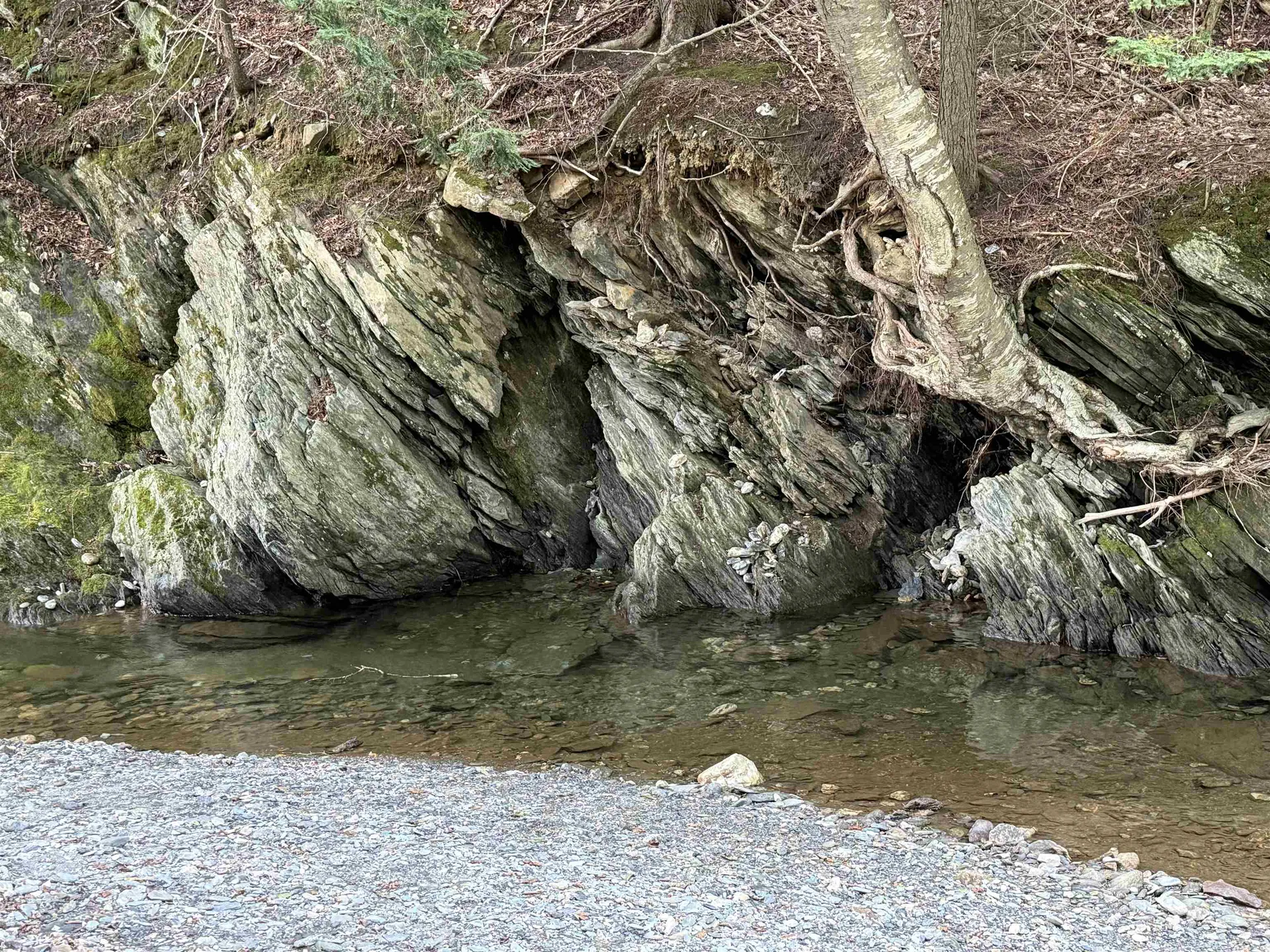 1497 Route 100a Plymouth VT 05056