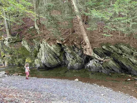 1497 Route 100a Plymouth VT 05056