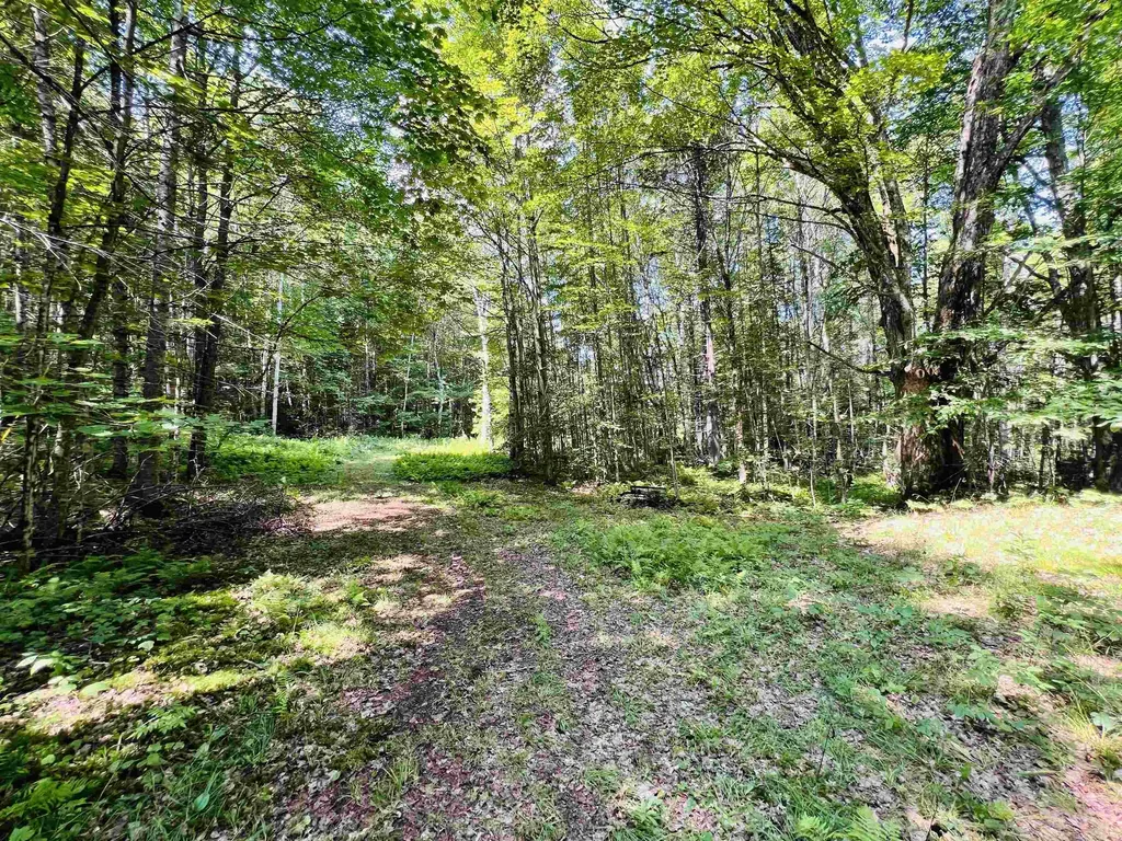 235 Moise Wood Road Brighton VT 05846