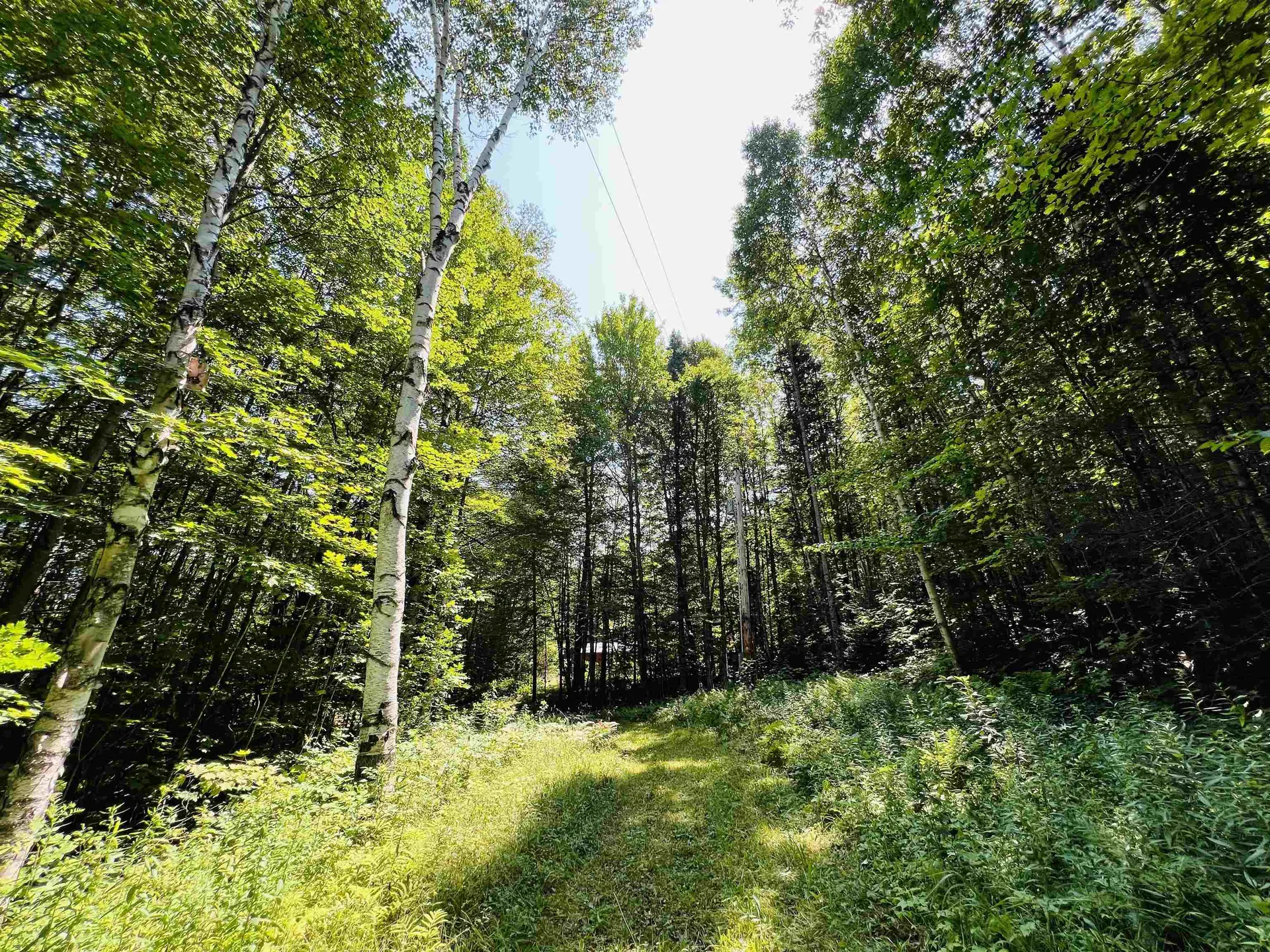 235 Moise Wood Road Brighton VT 05846