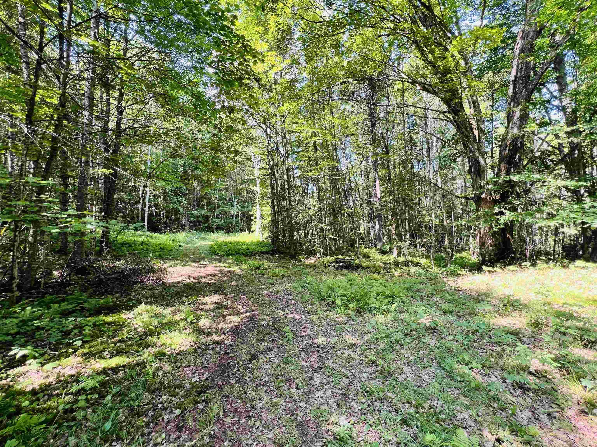235 Moise Wood Road Brighton VT 05846