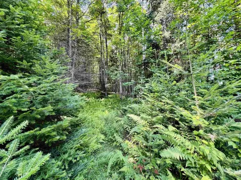 235 Moise Wood Road Brighton VT 05846