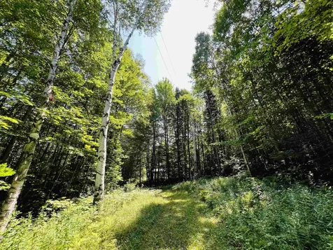 235 Moise Wood Road Brighton VT 05846