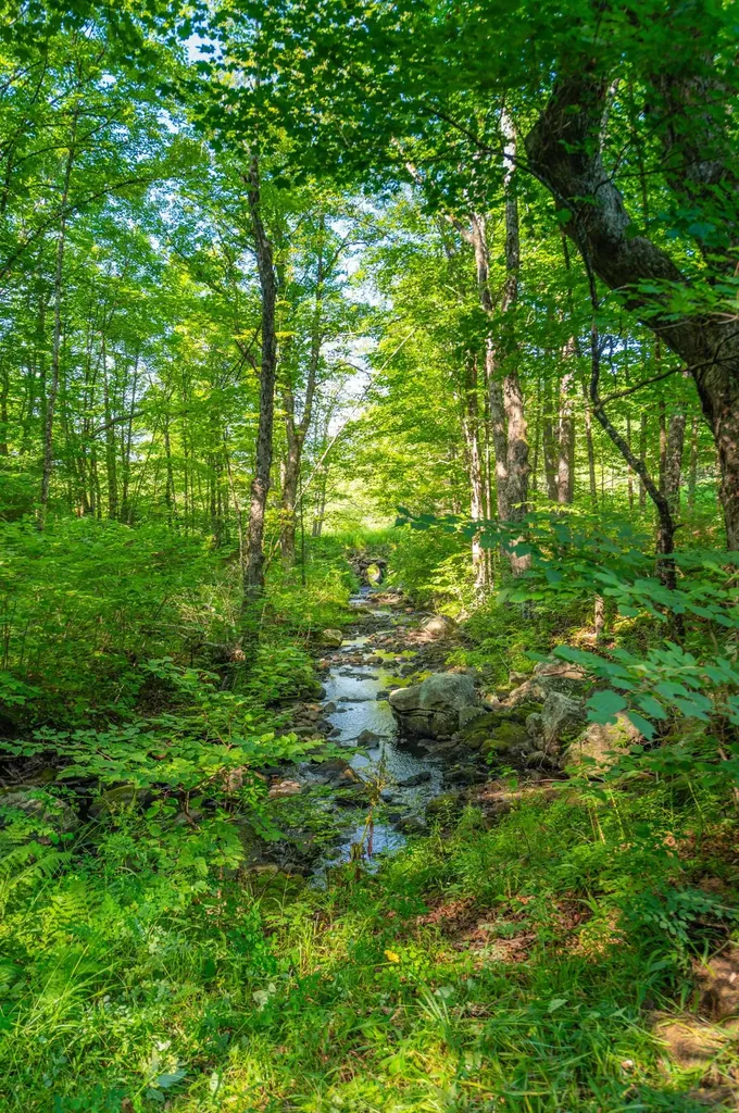 19 Titus Farm Road Wilmington VT 05363