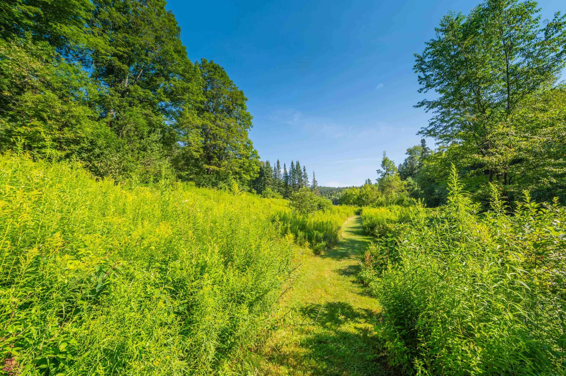 19 Titus Farm Road Wilmington VT 05363