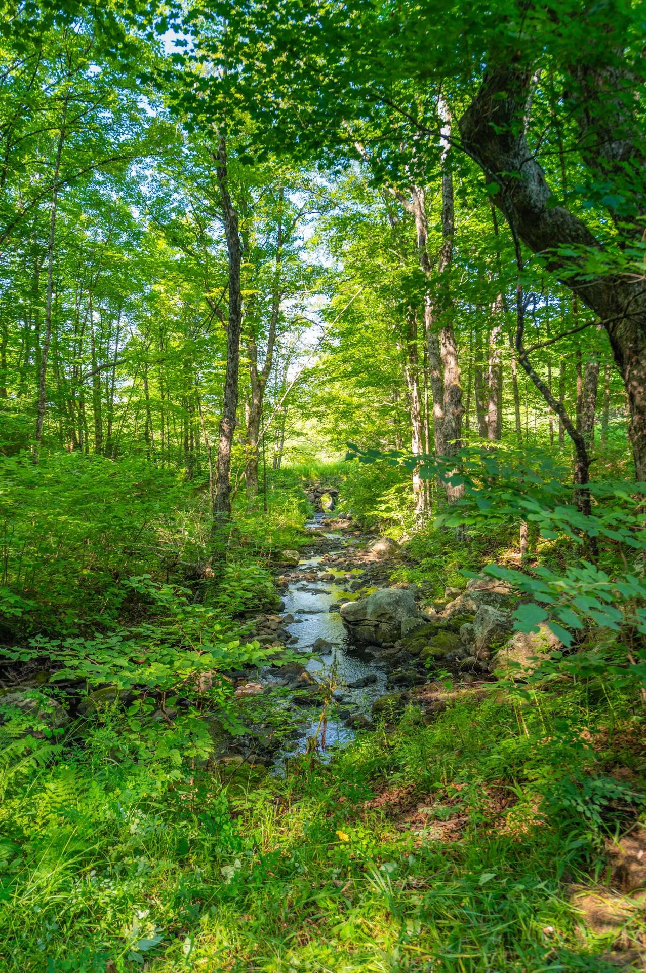 19 Titus Farm Road Wilmington VT 05363