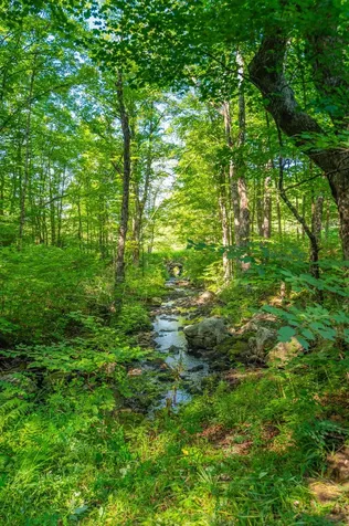 19 Titus Farm Road Wilmington VT 05363