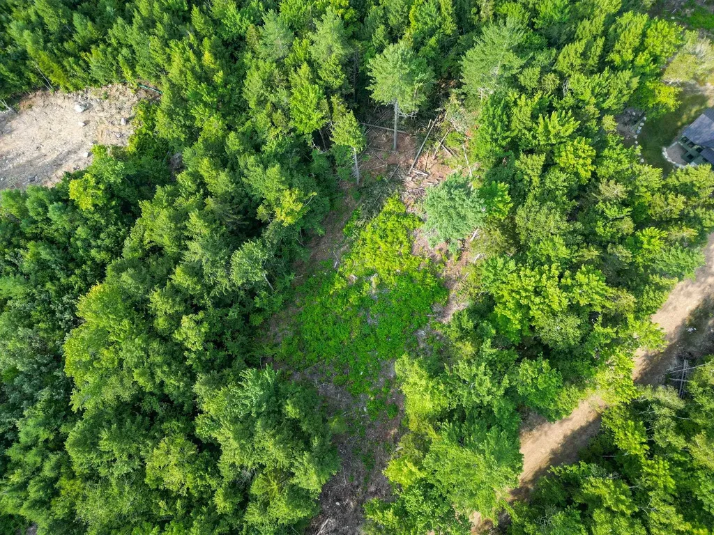 F4 Cave Mountain Drive Bartlett NH 03812