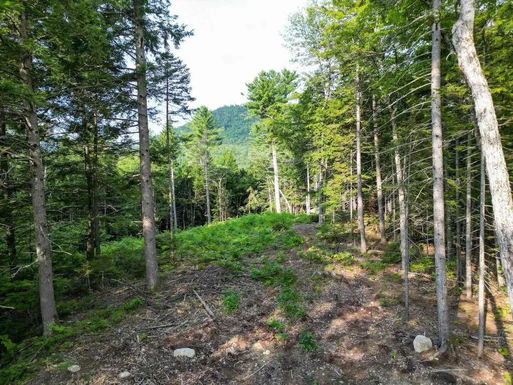F4 Cave Mountain Drive Bartlett NH 03812
