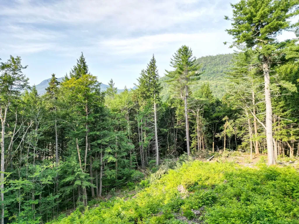 F4 Cave Mountain Drive Bartlett NH 03812