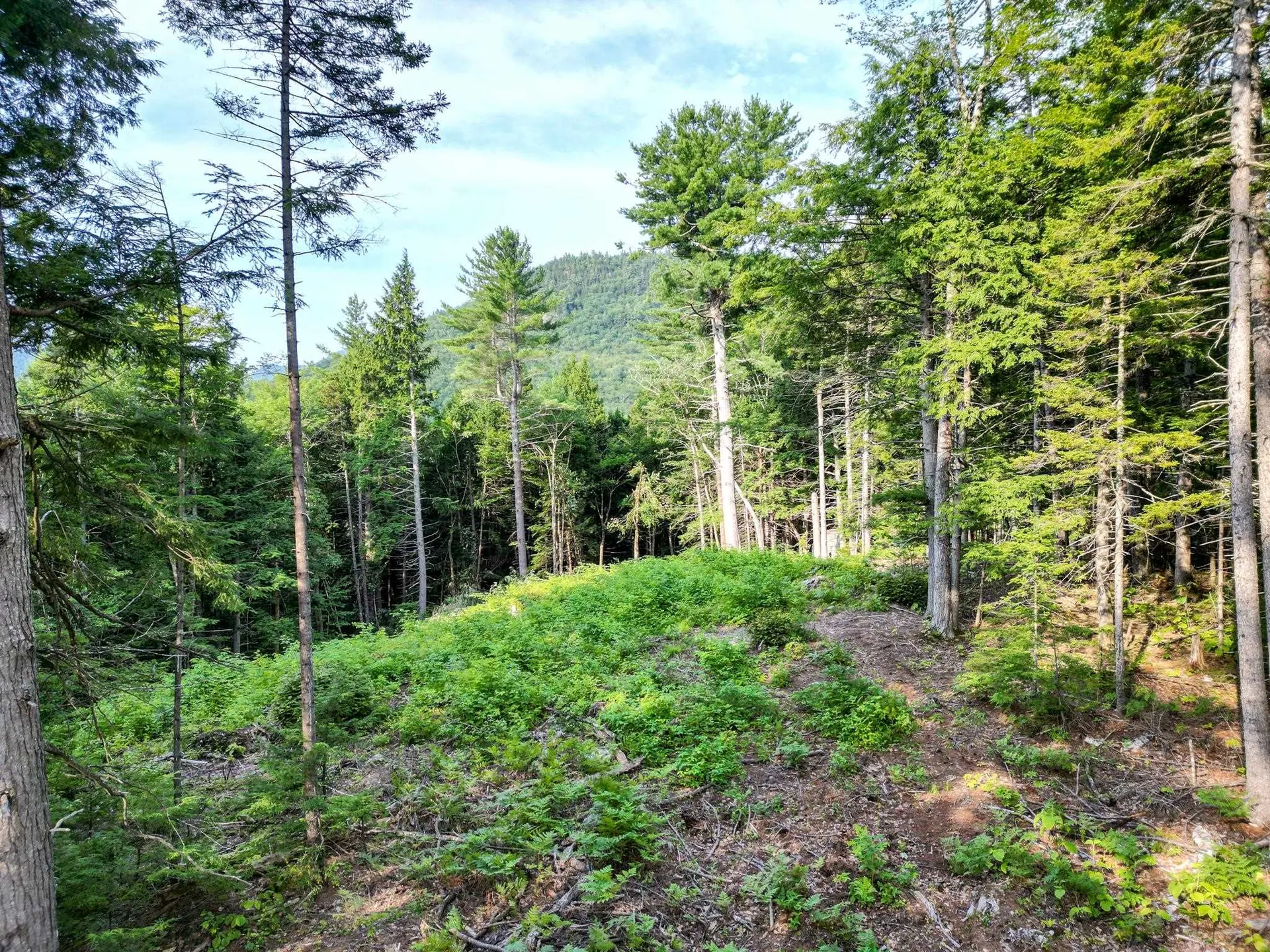 F4 Cave Mountain Drive Bartlett NH 03812