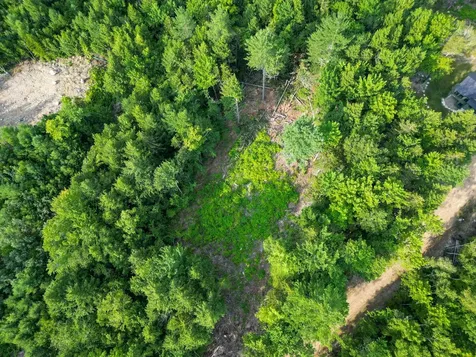 F4 Cave Mountain Drive Bartlett NH 03812