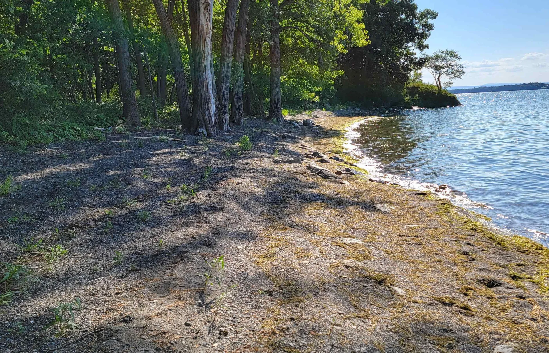 4300 Butler Island West North Hero VT 05474