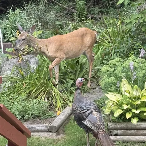 56 Durham Road Dover NH 03820