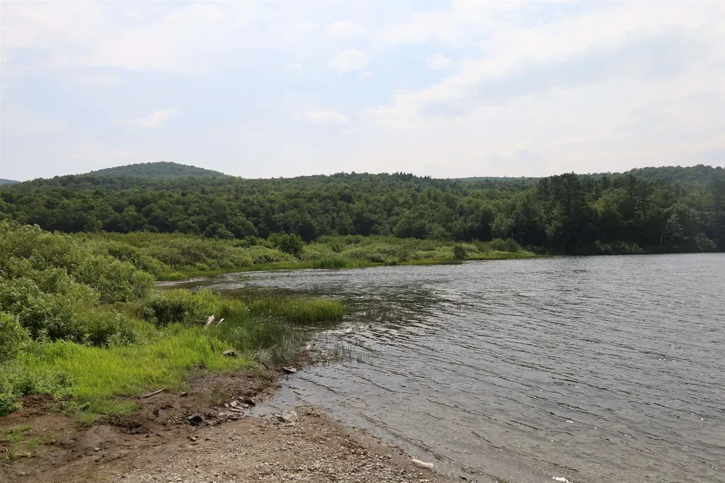 2205 Knowles Flat Road Eden VT 05652