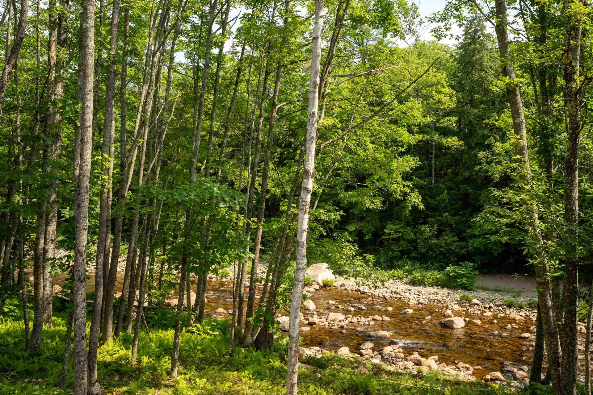 7 River And Pines Condo Road Bartlett NH 03812