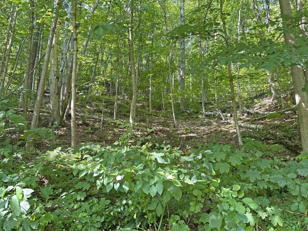 67 Williams Street Extension Rockingham VT 05101