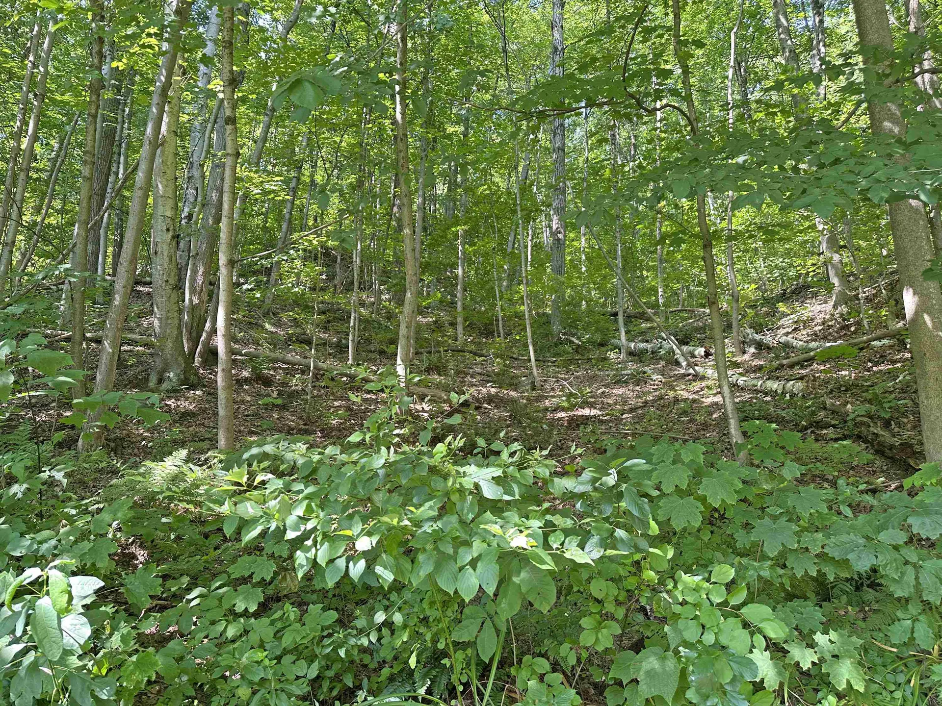 67 Williams Street Extension Rockingham VT 05101