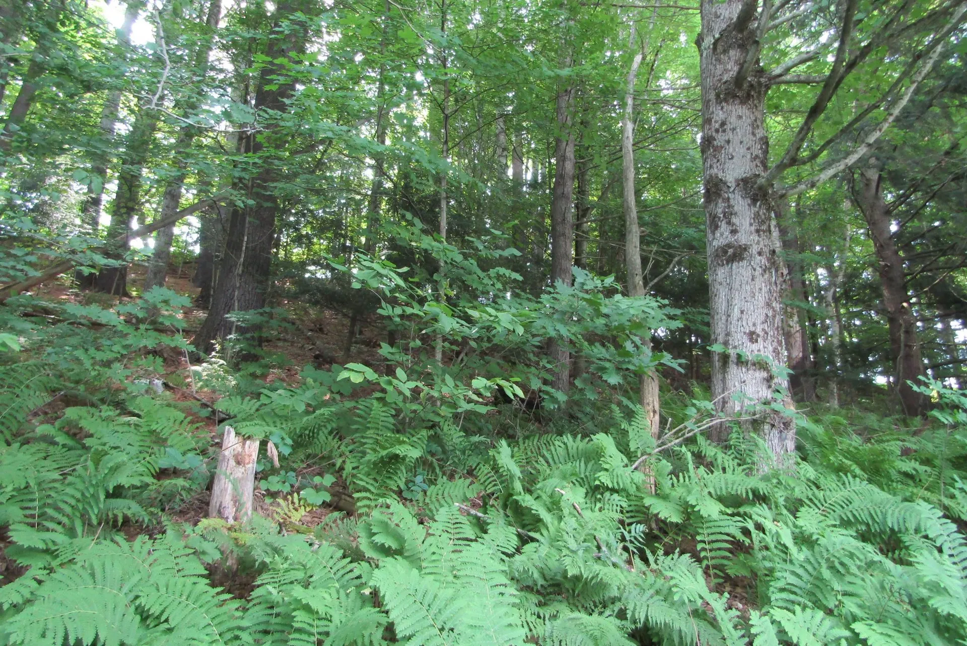 40 High Street Lisbon NH 03585