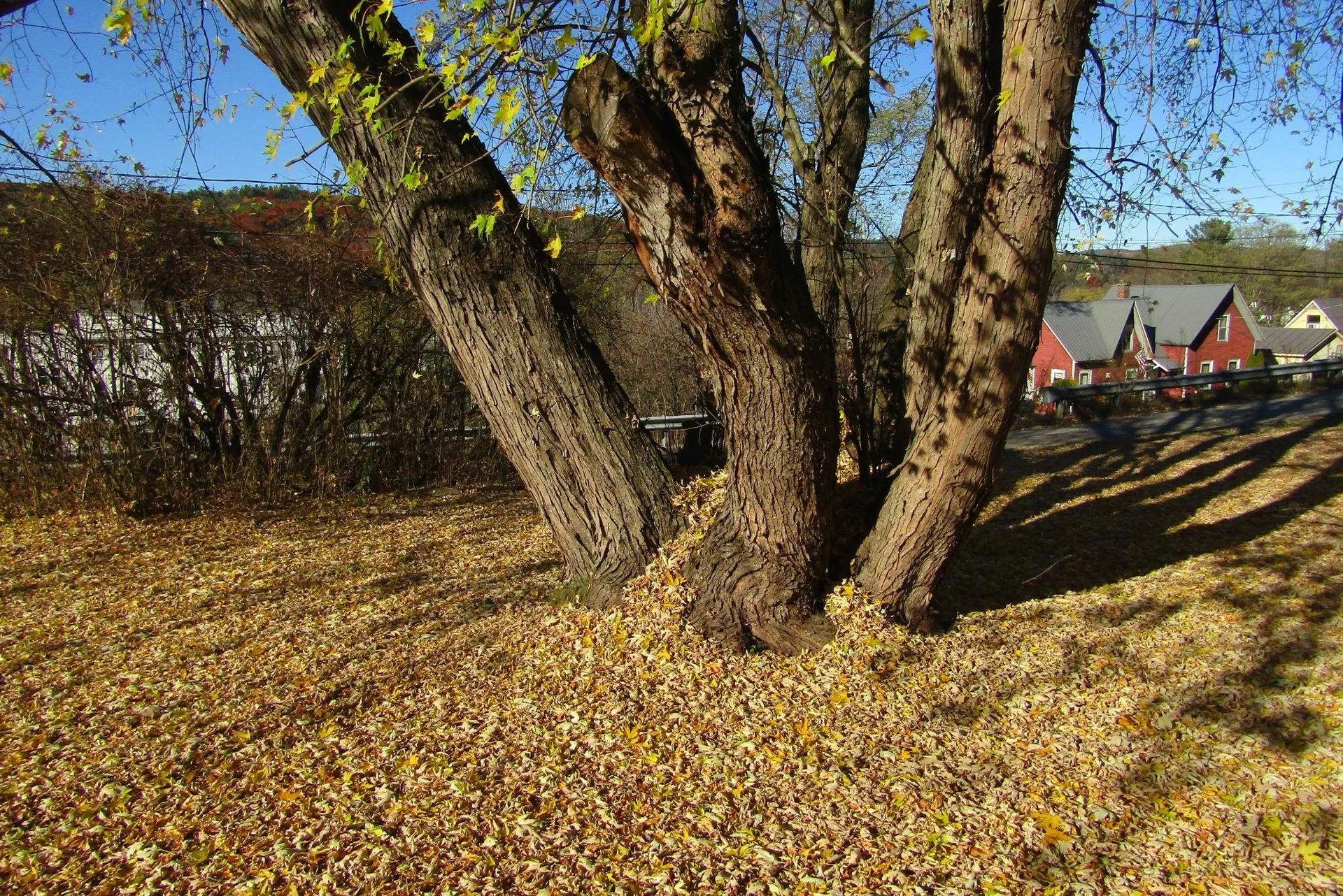 40 High Street Lisbon NH 03585