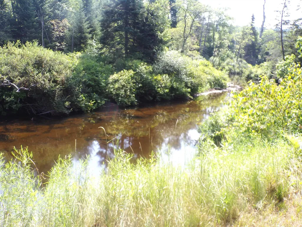 76 Grafton Turnpike Canaan NH 03741