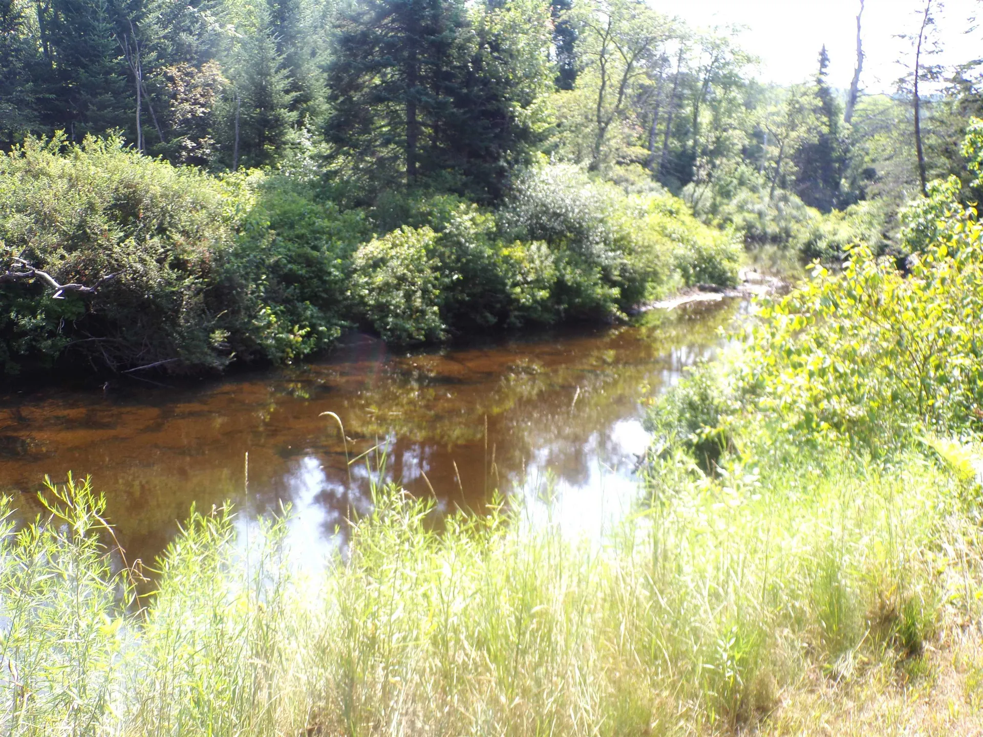 76 Grafton Turnpike Canaan NH 03741