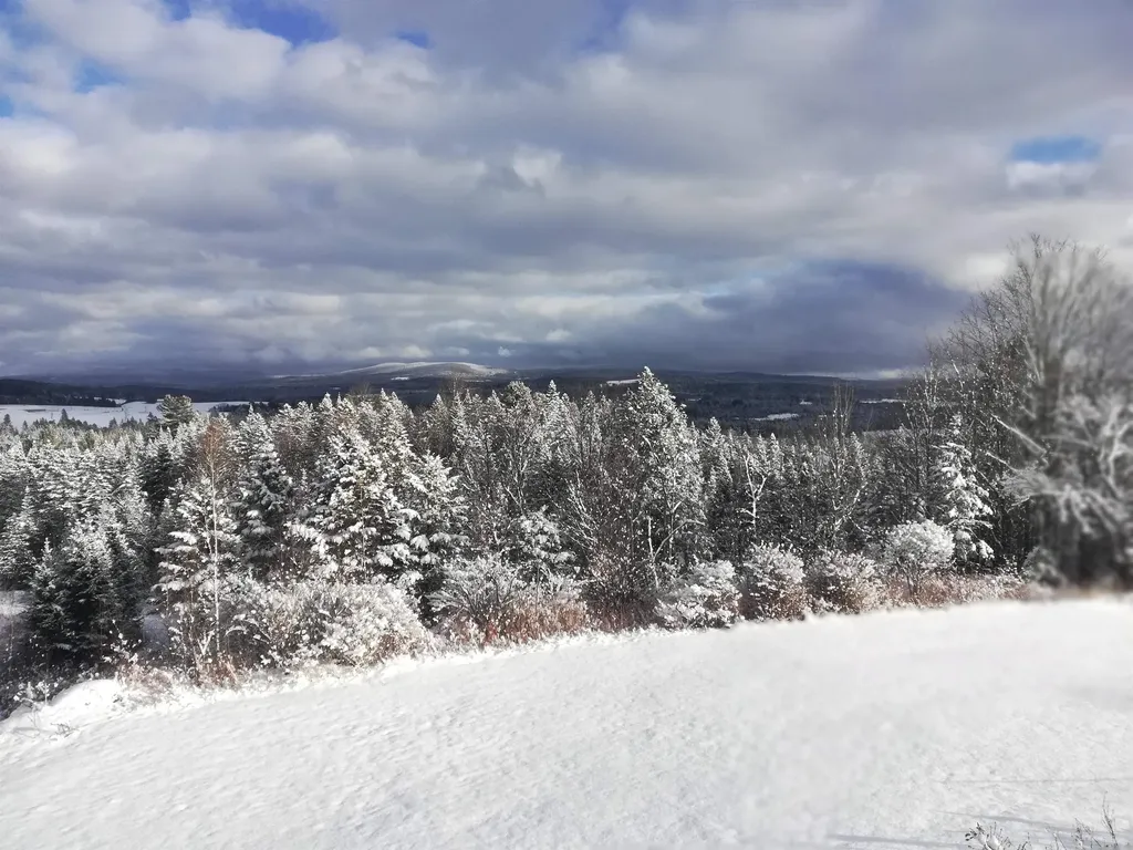 1144 Center Road Hardwick VT 05843
