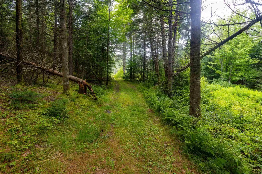 1144 Center Road Hardwick VT 05843