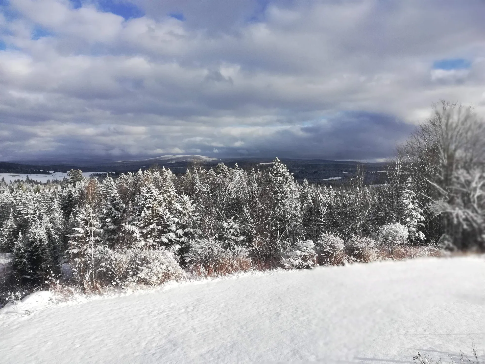 1144 Center Road Hardwick VT 05843
