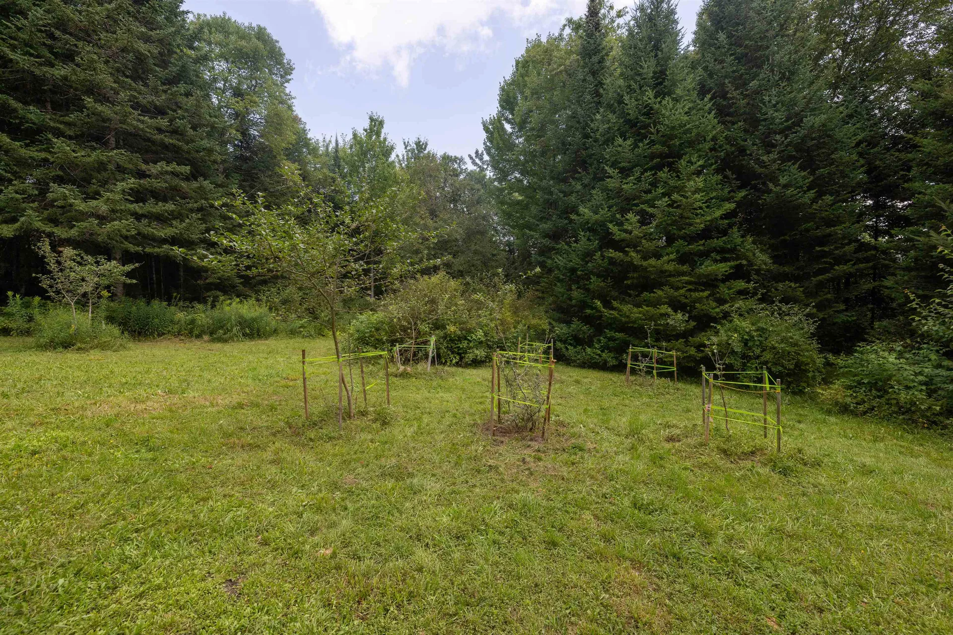 1144 Center Road Hardwick VT 05843