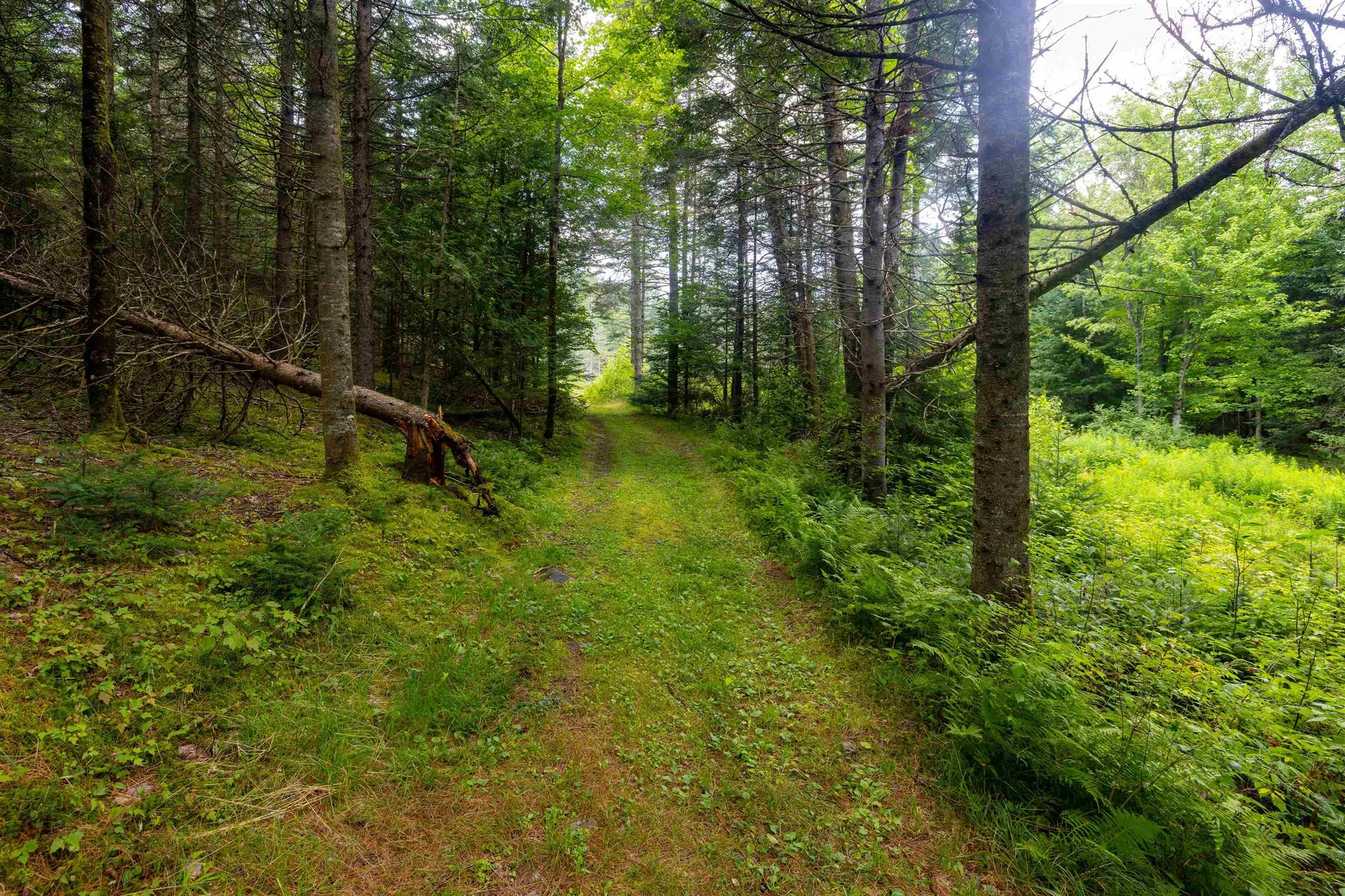 1144 Center Road Hardwick VT 05843