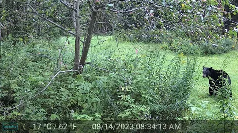 1144 Center Road Hardwick VT 05843