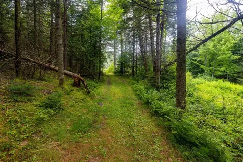 1144 Center Road Hardwick VT 05843