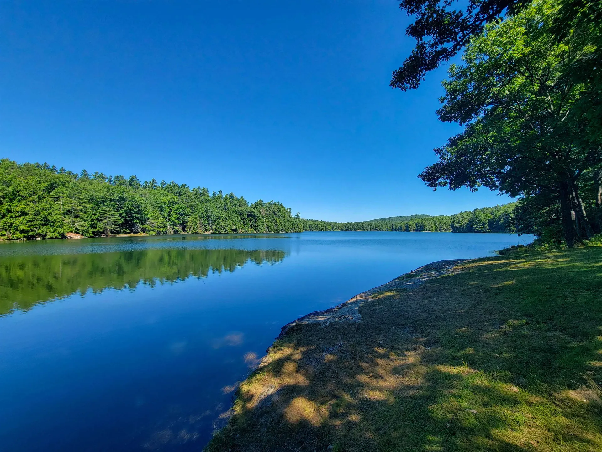 8 Walden Woods Essex VT 05452