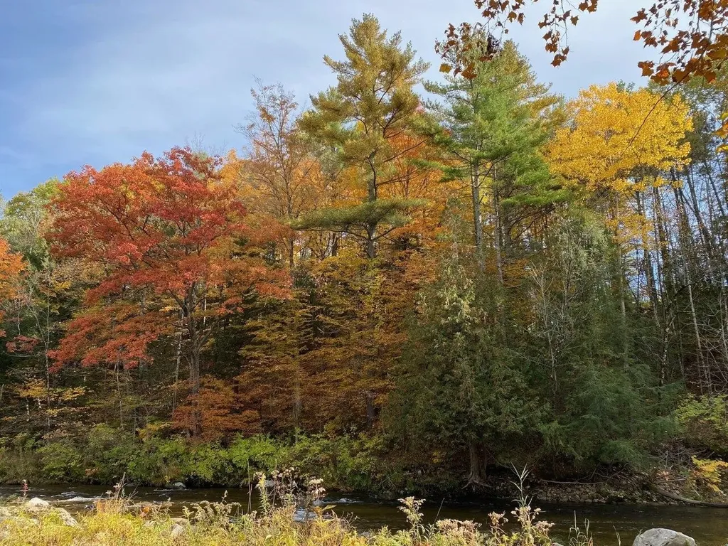 4003 River Road New Haven VT 05472