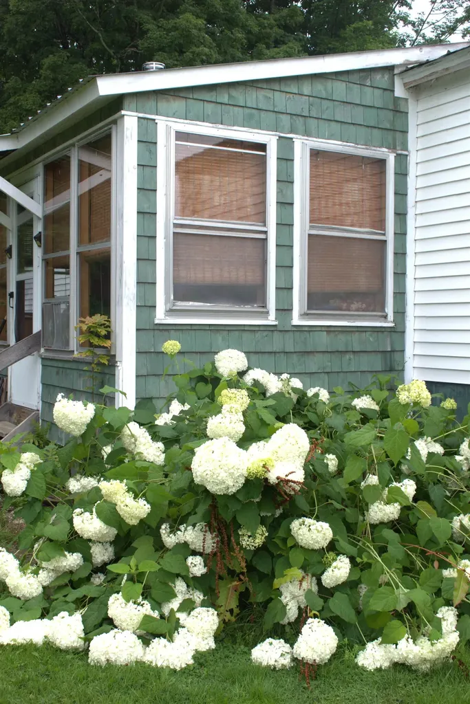 84 Apple Tree Lane Burke VT 05832