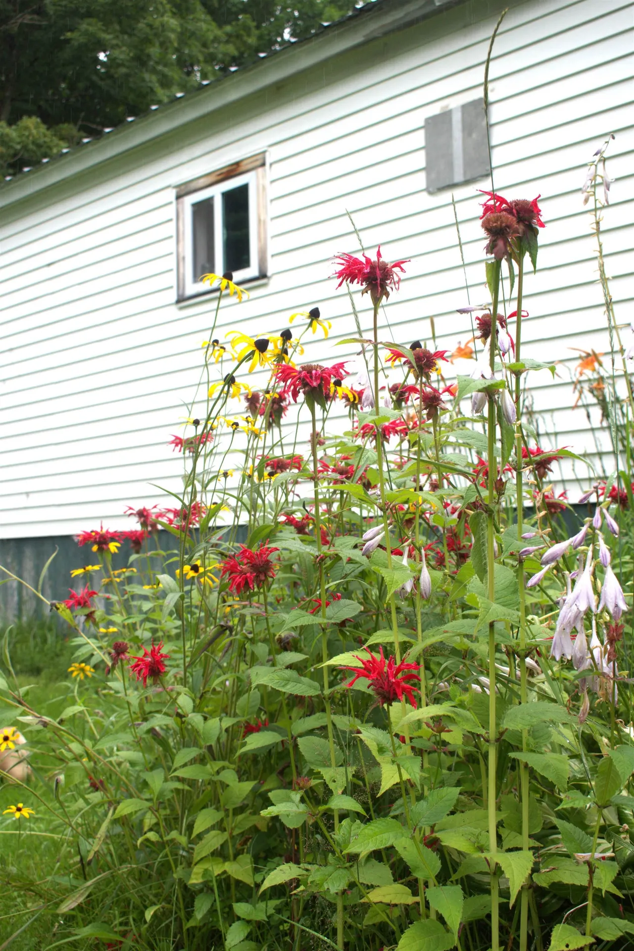 84 Apple Tree Lane Burke VT 05832