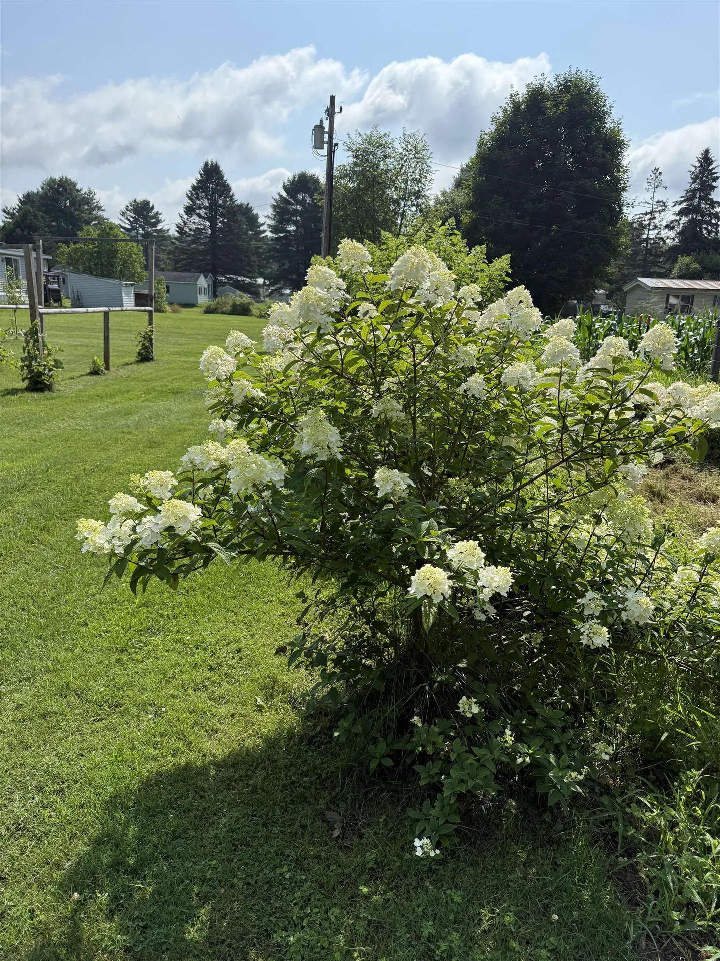 177 Ingalls Lane Lyndon VT 05851