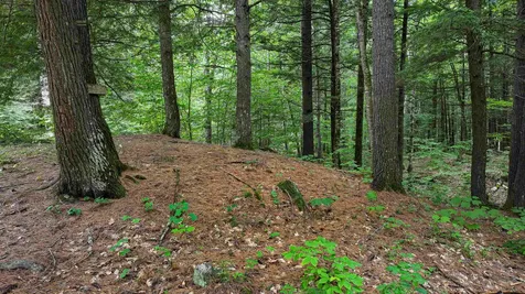 28 Ski Sand Road Denmark ME 04022