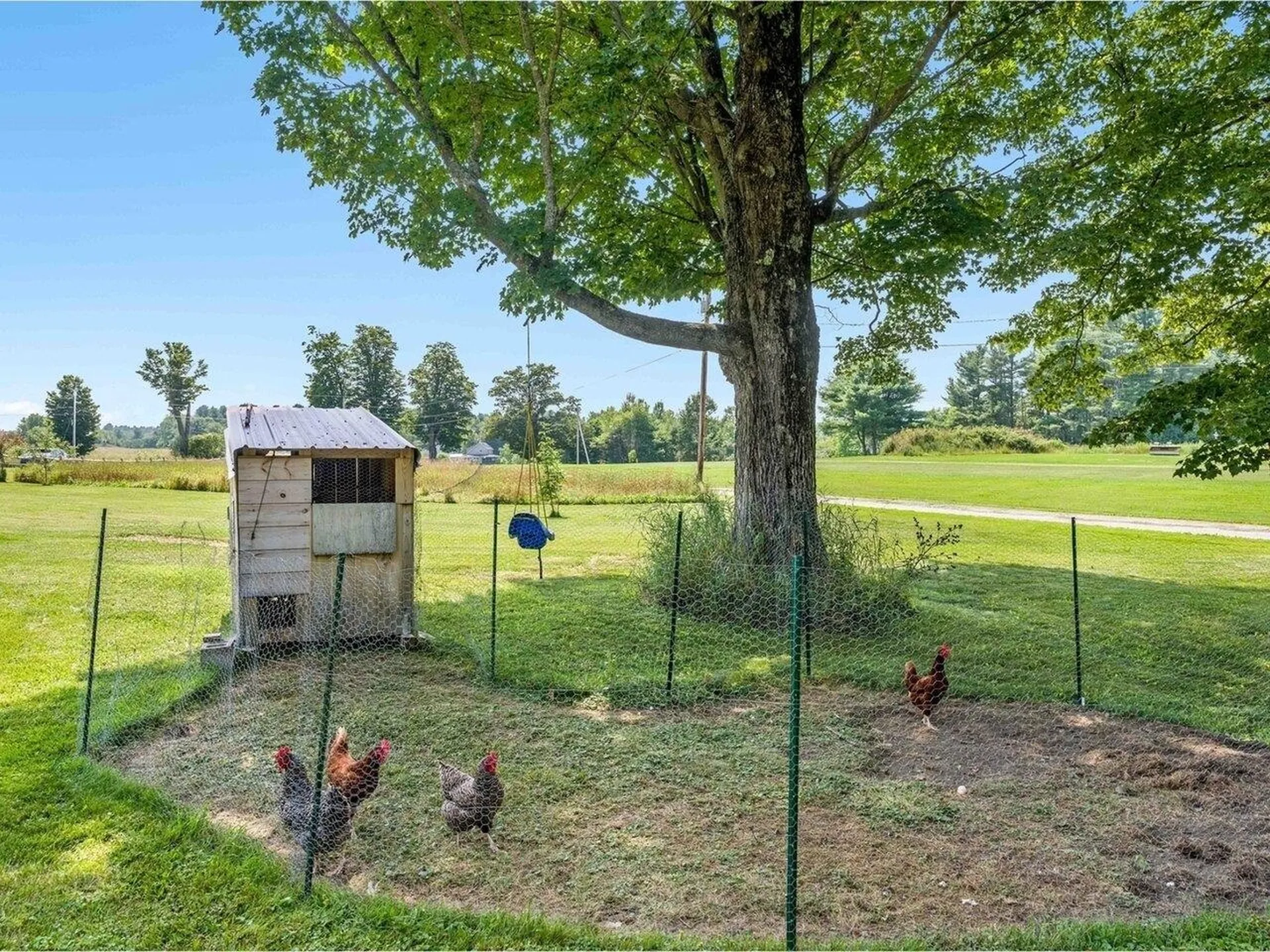 180 Erskine Road Williamstown VT 05679