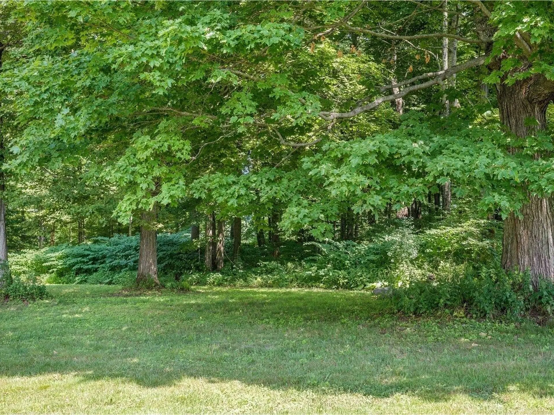 180 Erskine Road Williamstown VT 05679