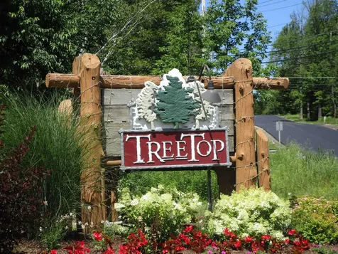 16 C Winterberry Heights Court Stratton VT 05155