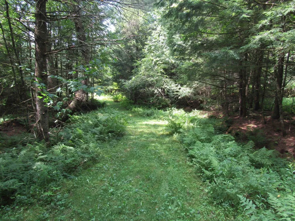 1285 Witchcat Road Bakersfield VT 05441