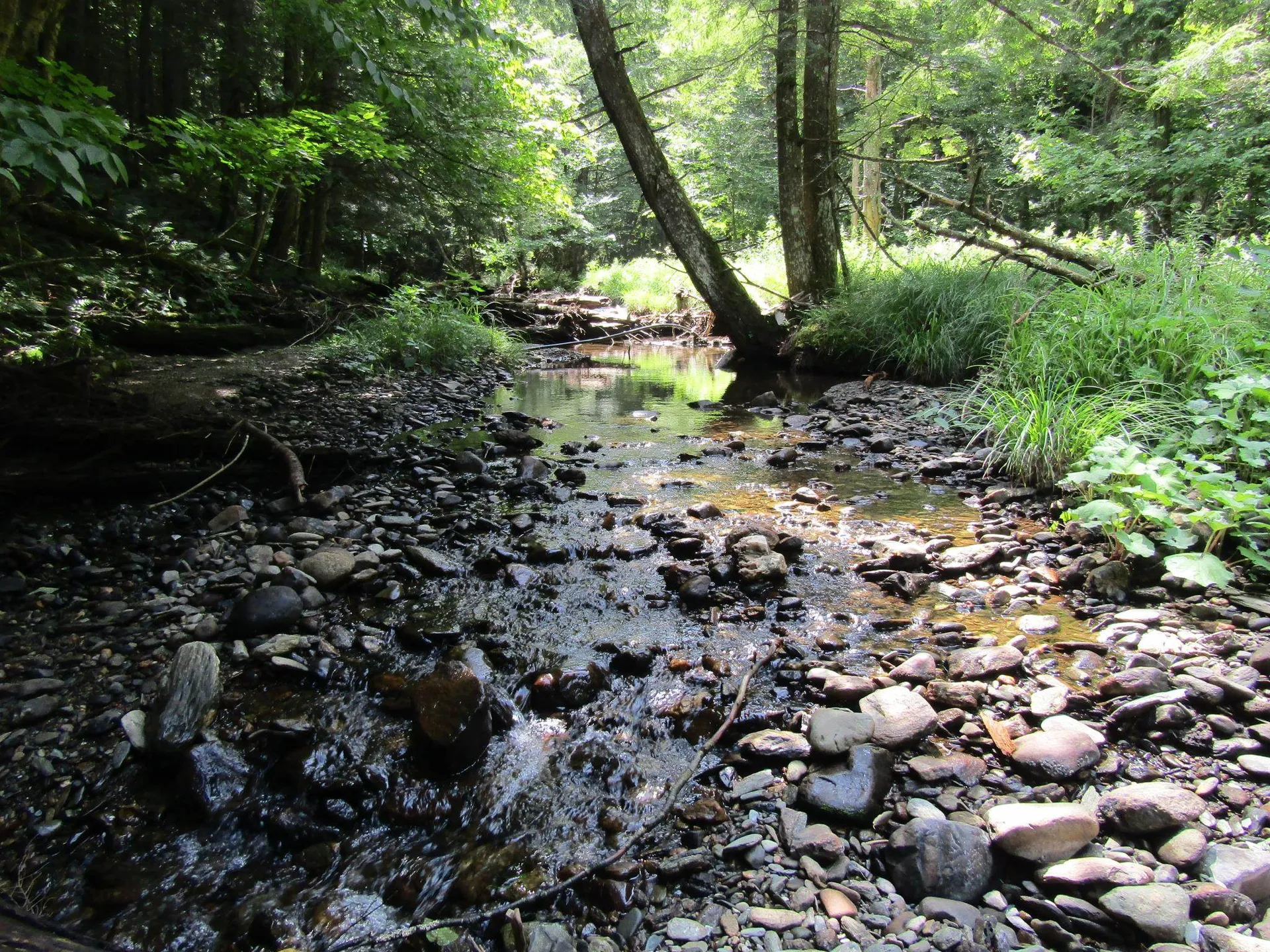 1285 Witchcat Road Bakersfield VT 05441